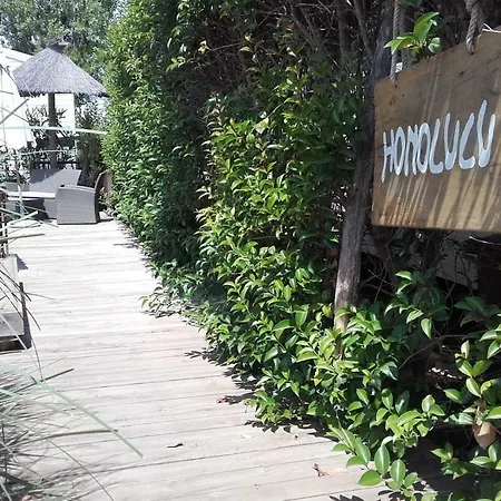 Mobile Service Hotelier