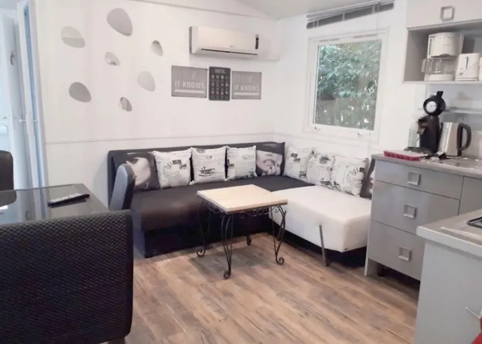 Mobile Service Hotelier 4* Frejus